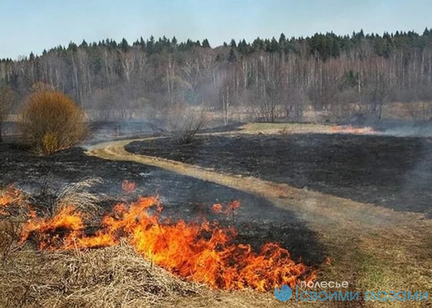 Задымление в Мозырском районе наблюдается из-за горения торфяников в близлежащих районах