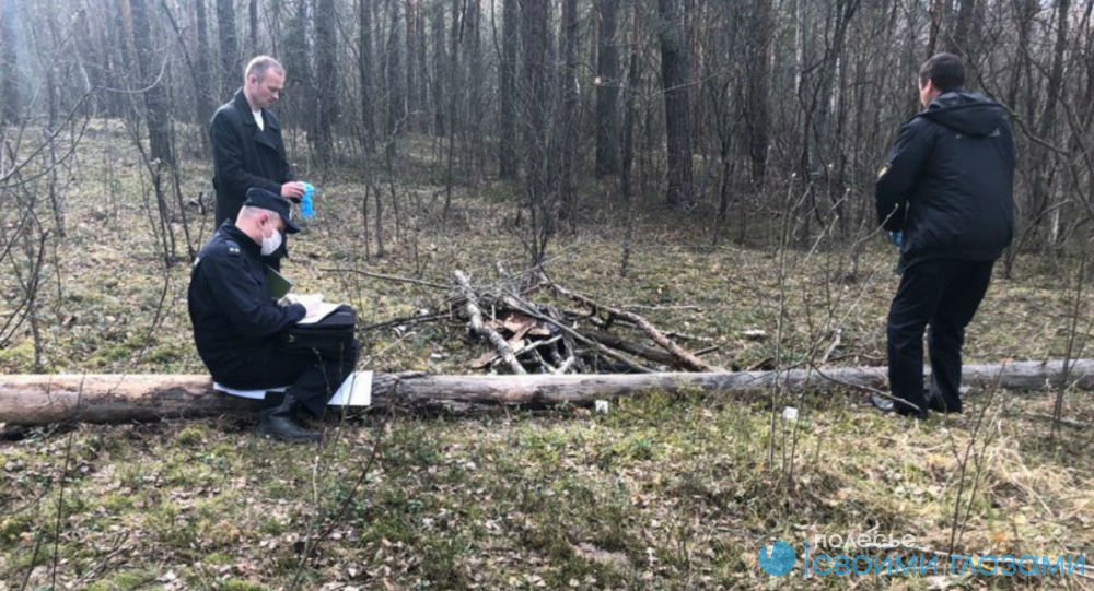 Находился в розыске: тело мужчины нашли в лесу возле Калинковичей