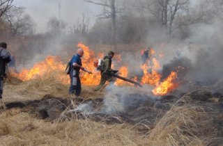 Мозыряне могут помочь в борьбе с палами и пожарами