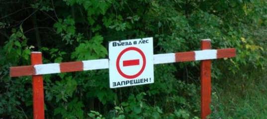 Новый запрет на посещение лесов введен в Мозырском районе
