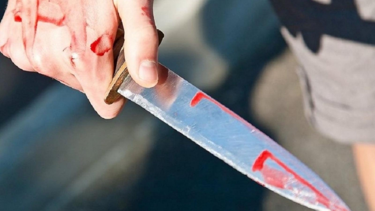 В Мозыре вынесли приговор студенту, который средь бела дня бросился с ножом на спящего незнакомца
