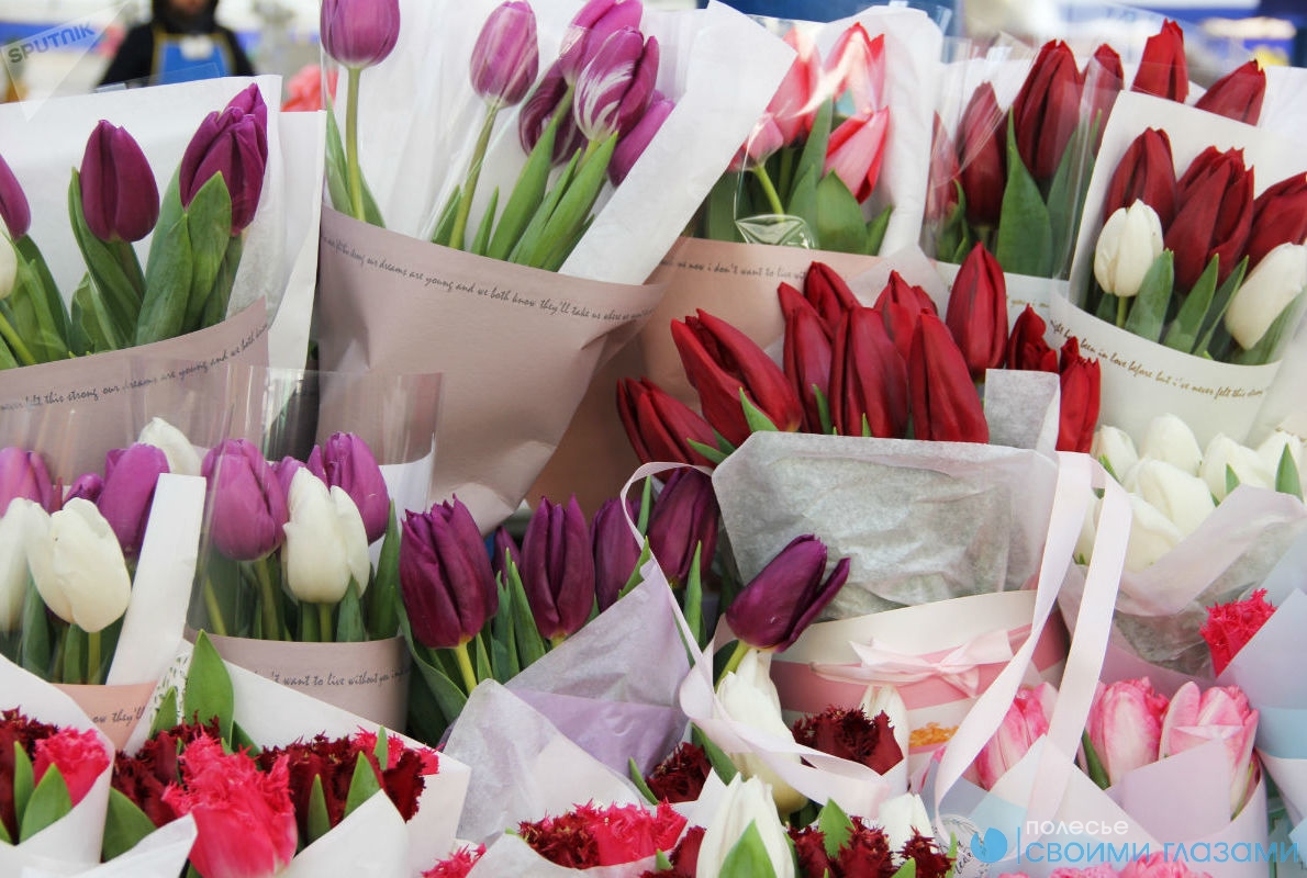 Где купить тюльпаны в москве. Тюльпаны на рынке. Продам тюльпаны. Тюльпаны на цветочном рынке. Продажа тюльпанов.