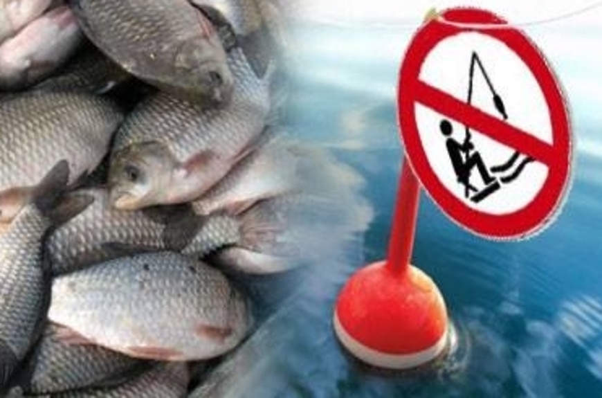 Ограничения на лов рыбы введены в регионе