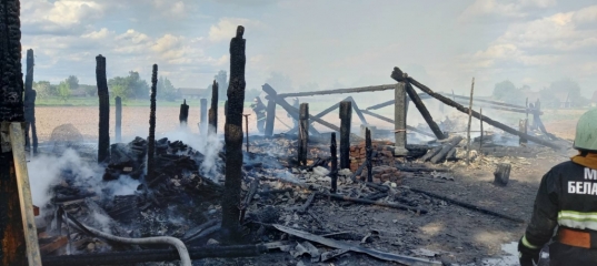 Трагедия в Лельчицком районе: при пожаре погиб 6-летний мальчик