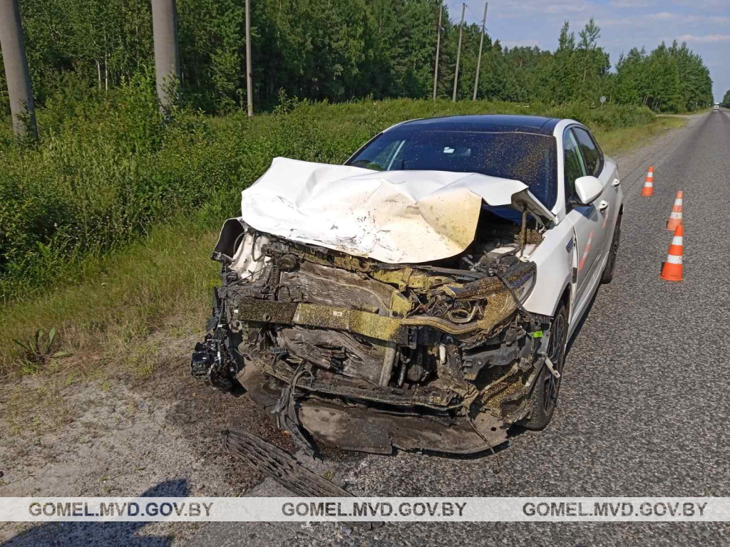 24-летний водитель БМВ ехал отдыхать на природу, а попал в больницу »  Интернет-портал «Полесье своими глазами» | Бесплатные частные и  коммерческие объявления