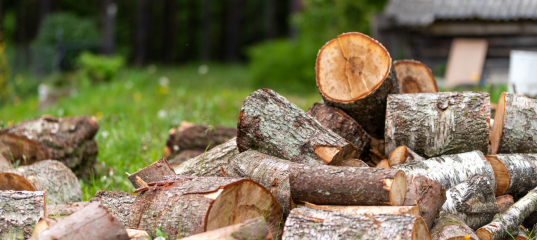 Купить дрова – проблема. «ПСГ» разбирается, в чем причина