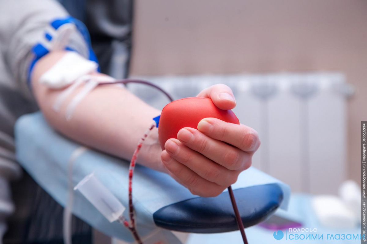 Как стать донором крови в Мозыре?