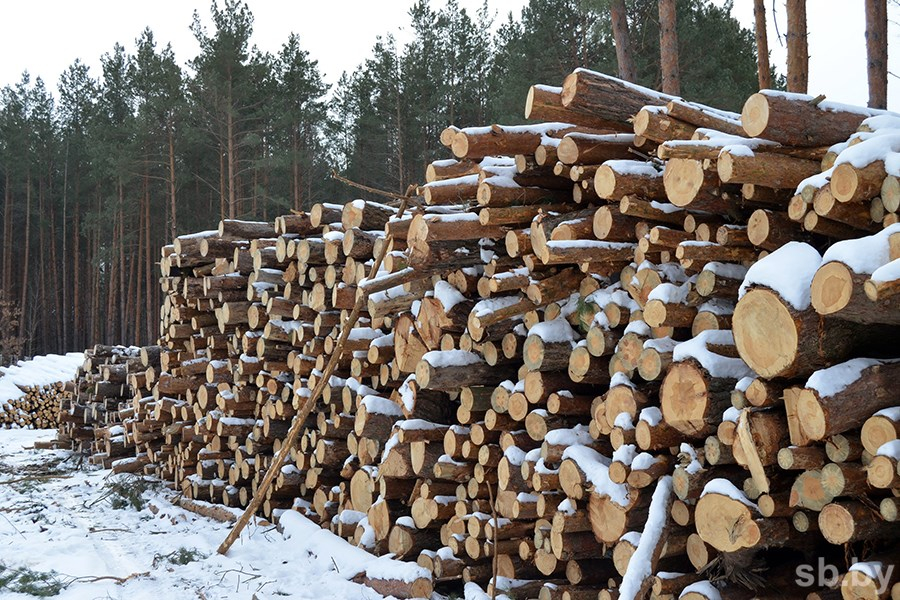 Мозырский опытный лесхоз: вопрос дров для населения находится на особом контроле
