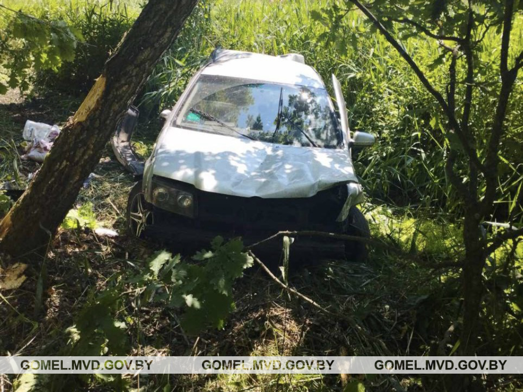 В Петриковском районе в ДТП пострадала малолетняя девочка, в Мозырском  районе - могли бы пострадать еще двое детей » Интернет-портал «Полесье  своими глазами» | Бесплатные частные и коммерческие объявления