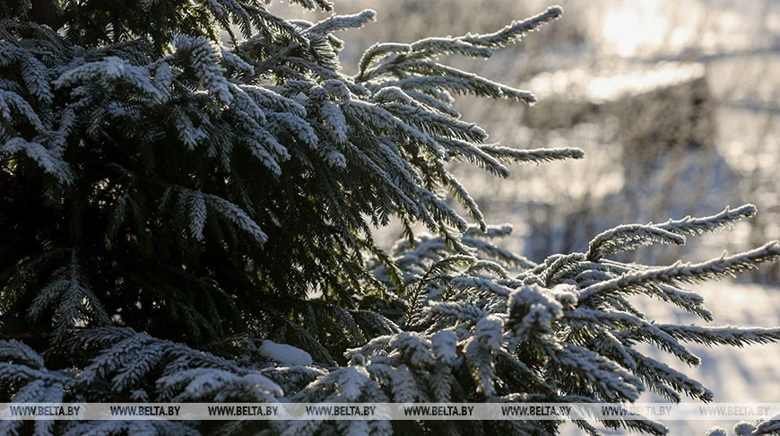 До -25° мороза ожидается в Беларуси 8 января