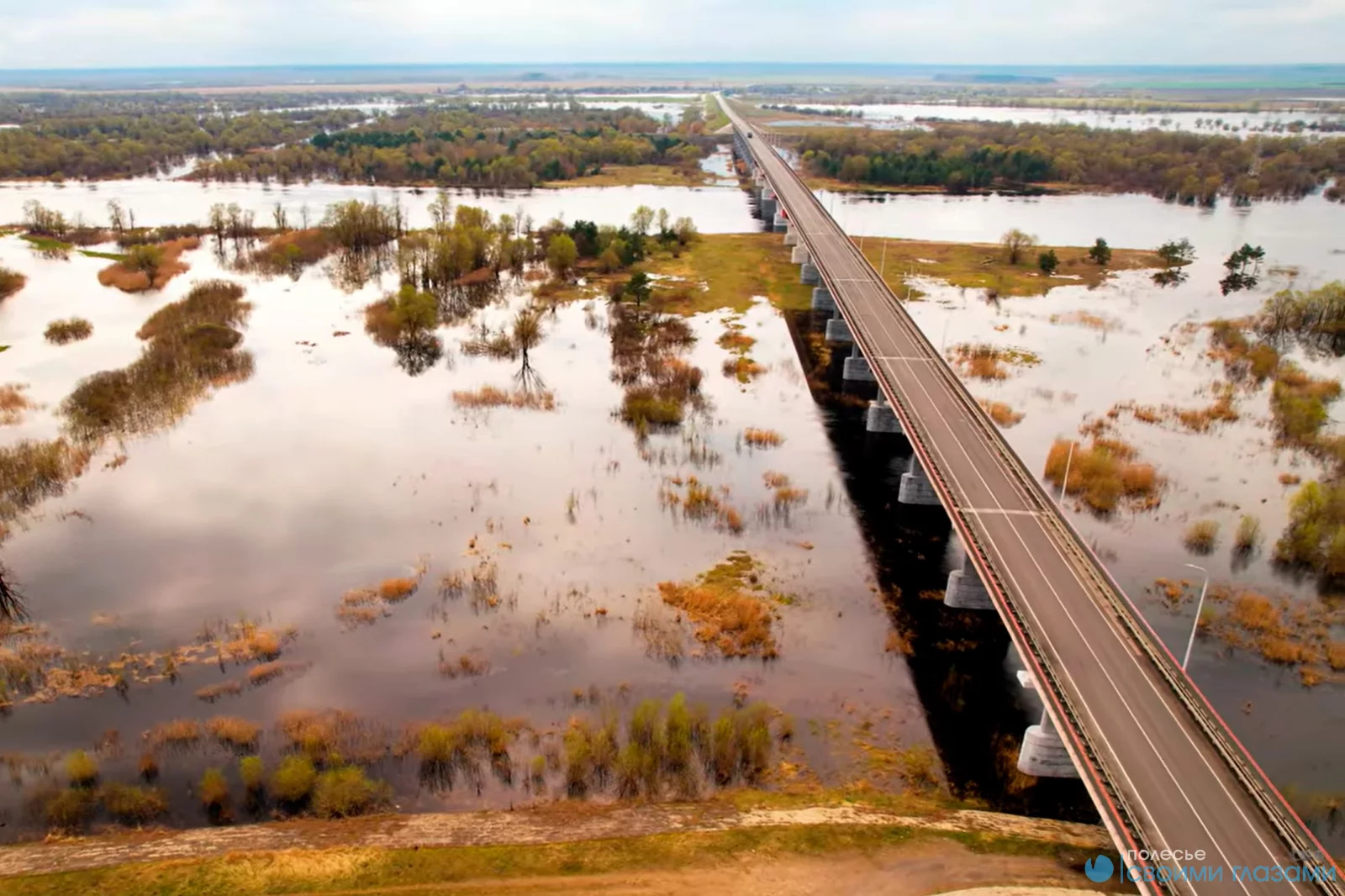 Уровень воды в Припяти почти приблизился к опасной отметке