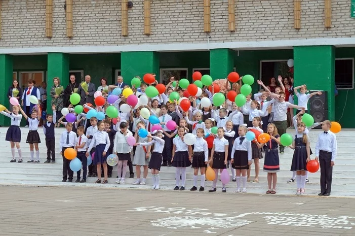 В школах Беларуси появятся два новых факультатива