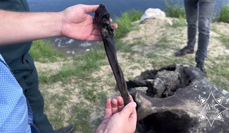 Научная версия о найденных в Ветковском районе останках мамонта