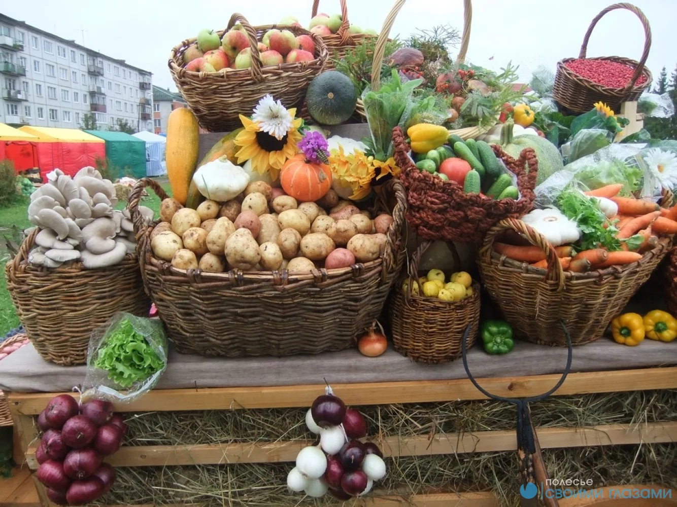 Где в Мозыре закупиться овощами