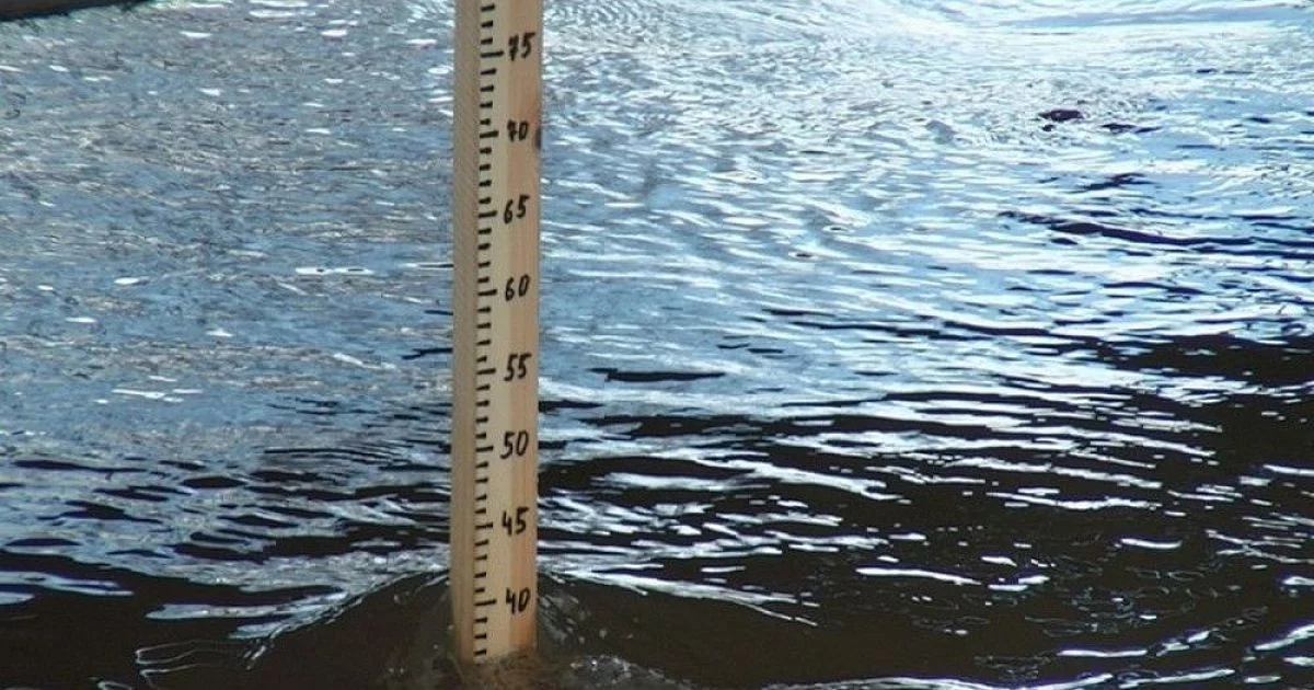 В реках Гомельской области продолжается рост уровня воды