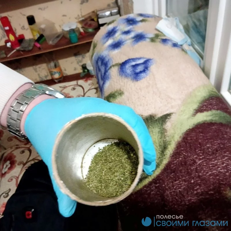 Житель Светлогорска хранил более 240 грамм марихуаны