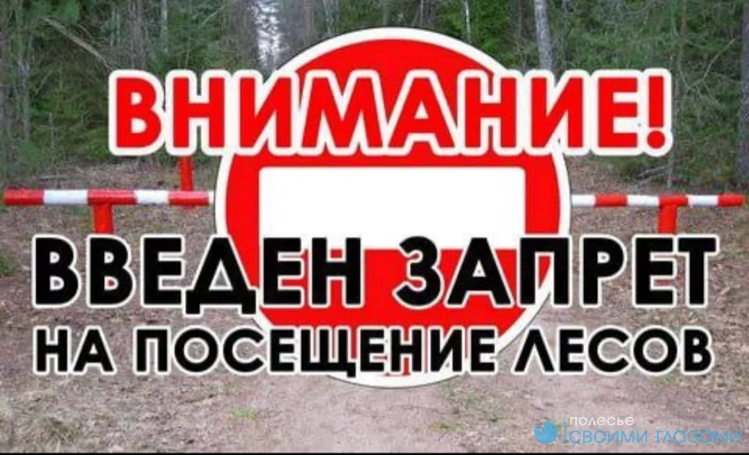 В Мозырском районе введён 4 класс пожарной опасности