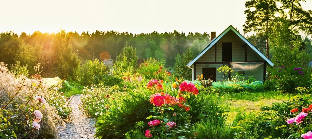 От забора до стройки: что запрещено делать не на своей земле?