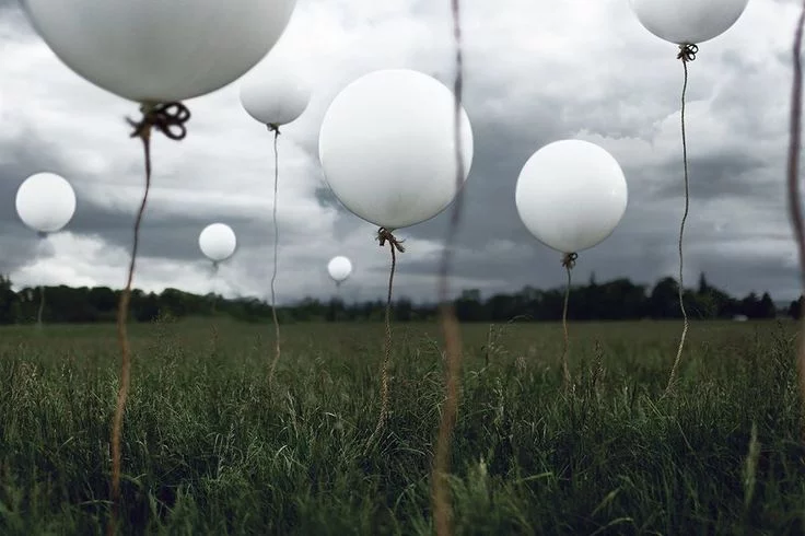 Минприроды просит белорусских выпускников не запускать шары