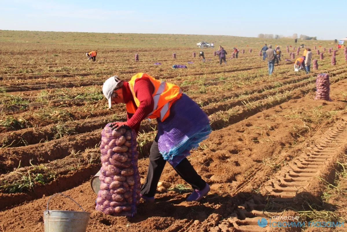 Дополнительный доход летом