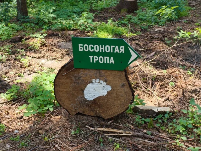 В Мозыре предлагают пройти по шишкам и песку босиком