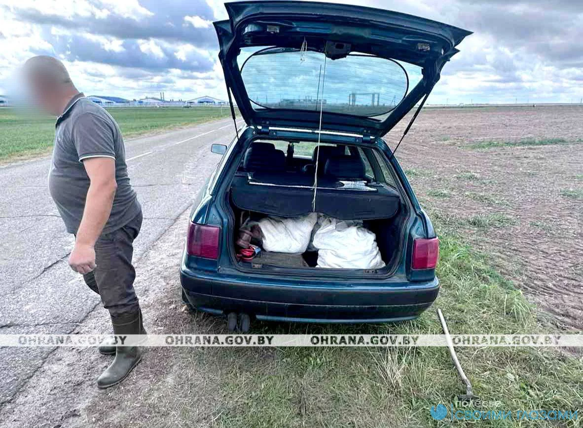 Мозырские правоохранители пресекли воровство на поле