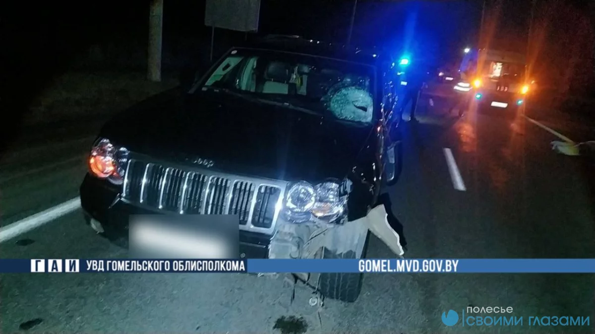 Пешеход без световозвращателей погиб в ДТП под Мозырем
