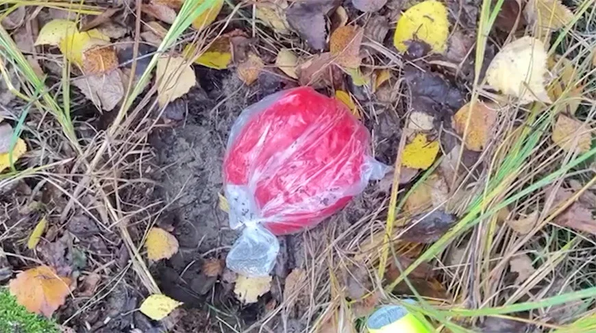 В Мозыре задержан курьер интернет-наркомагазина