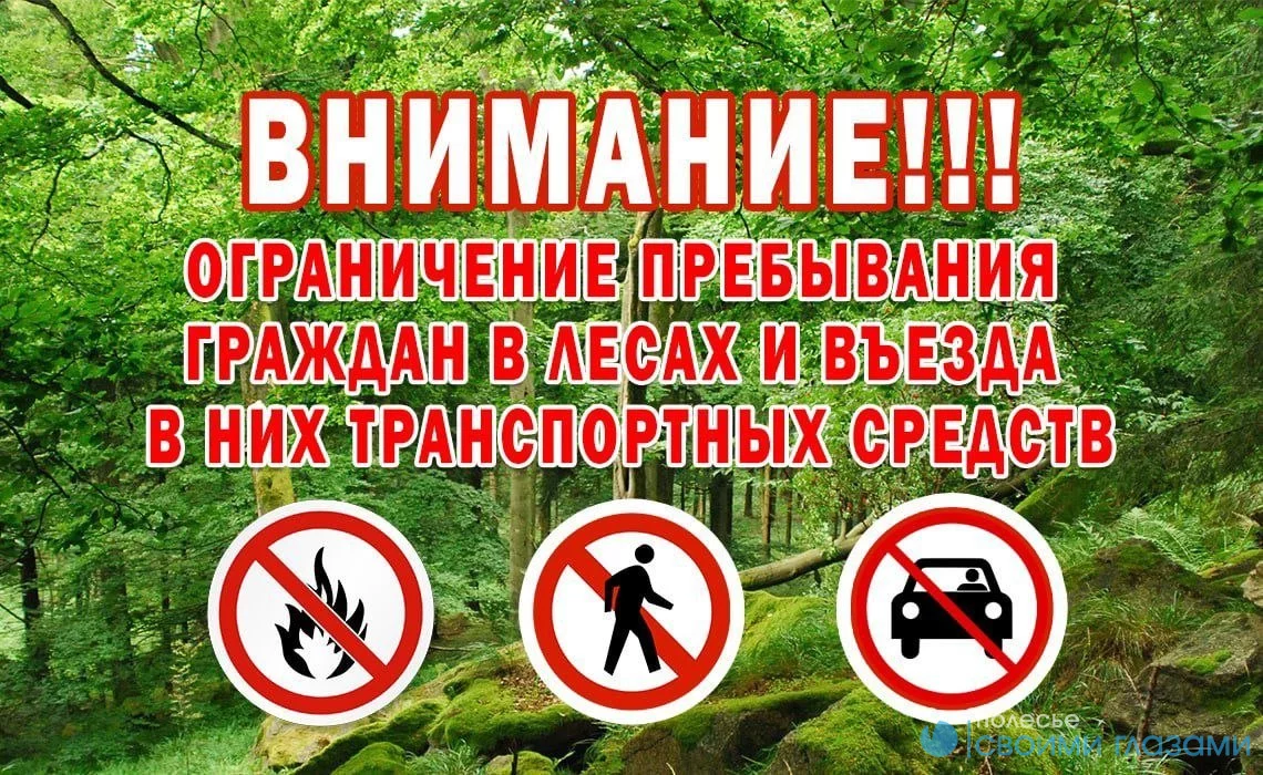 Уважаемые жители и гости Мозырского района!