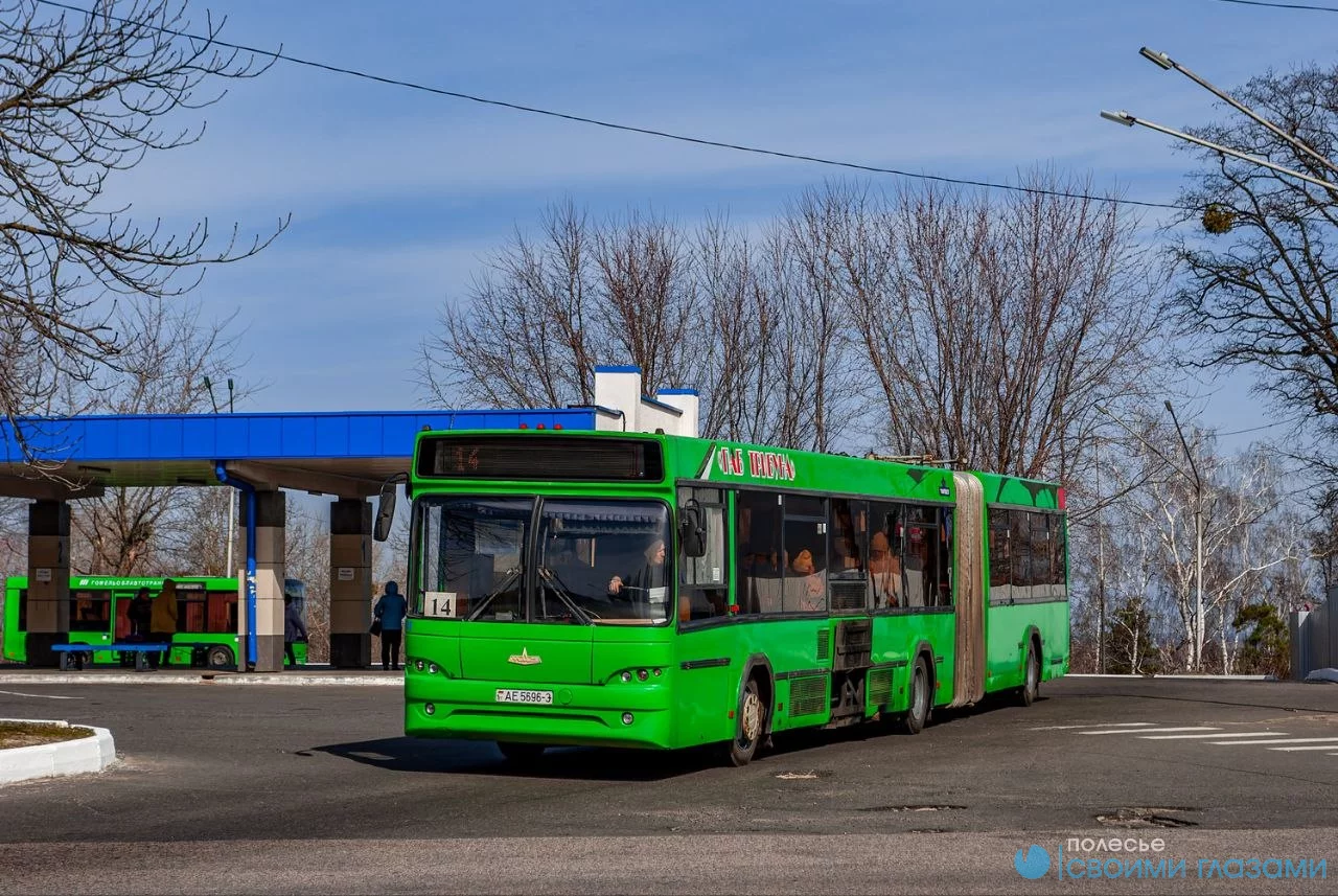 В Мозыре повышаются тарифы на проезд в общественном транспорте