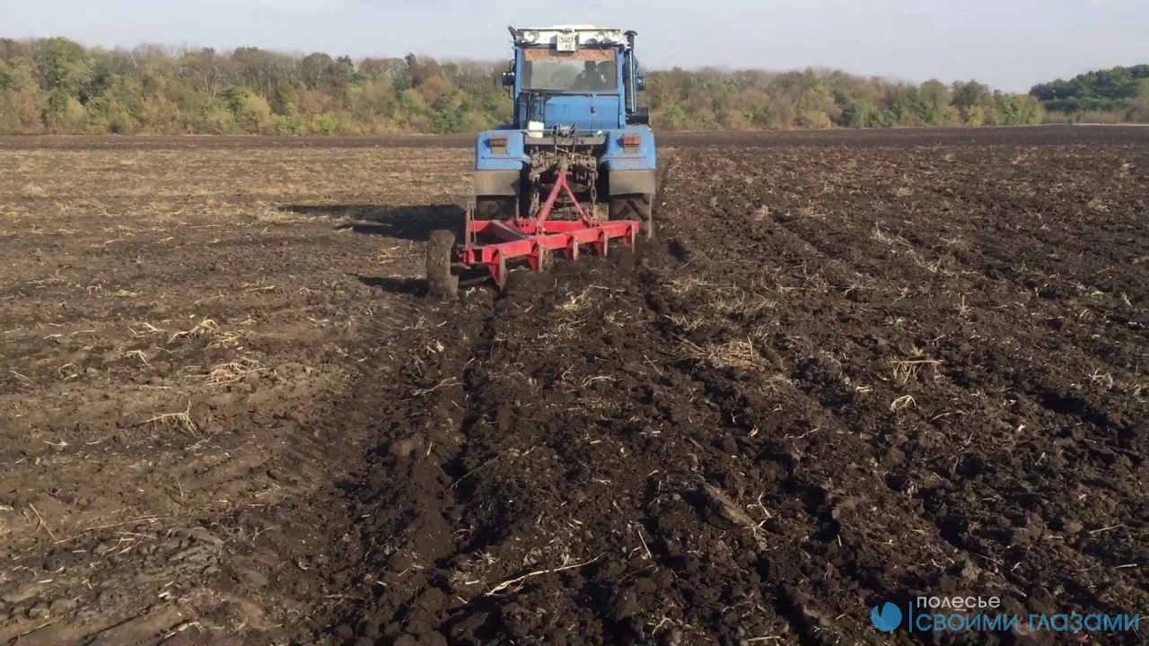 Порядок уплаты налога физическим лицом
