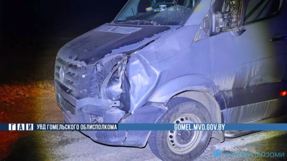 Пешеход погиб под колесами авто в Калинковичском районе