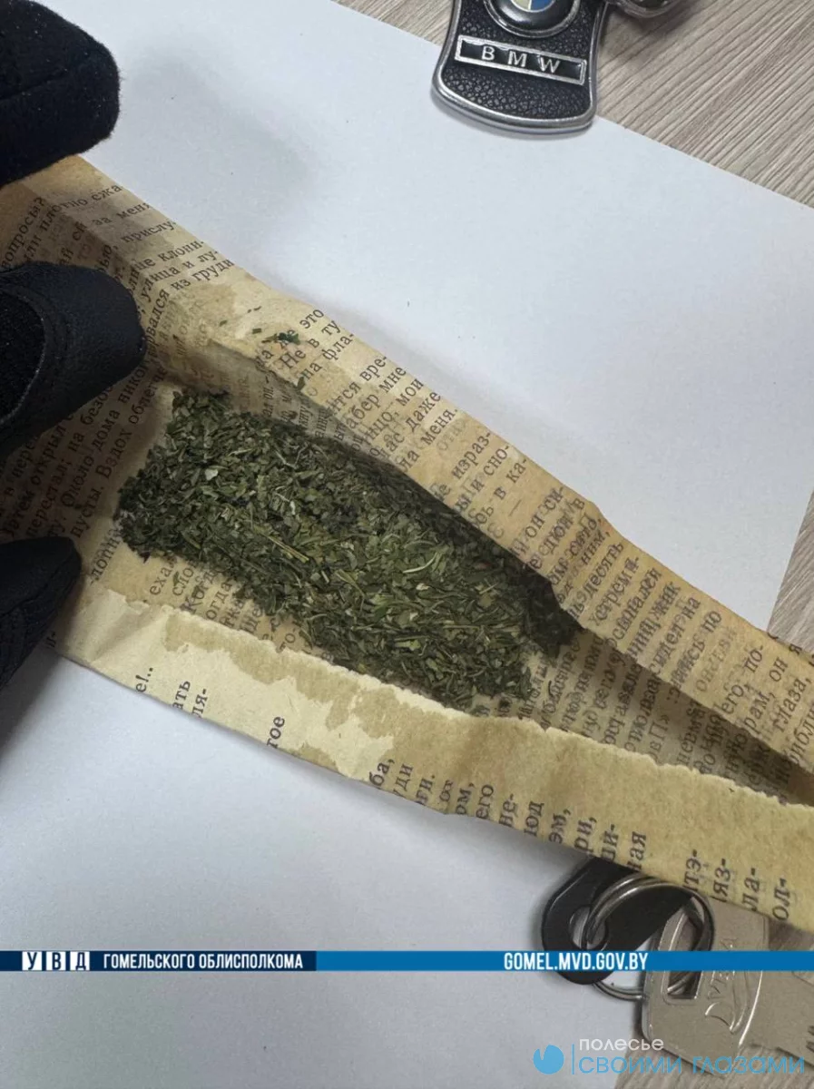 В Мозыре задержаны участники цепочки распространения марихуаны