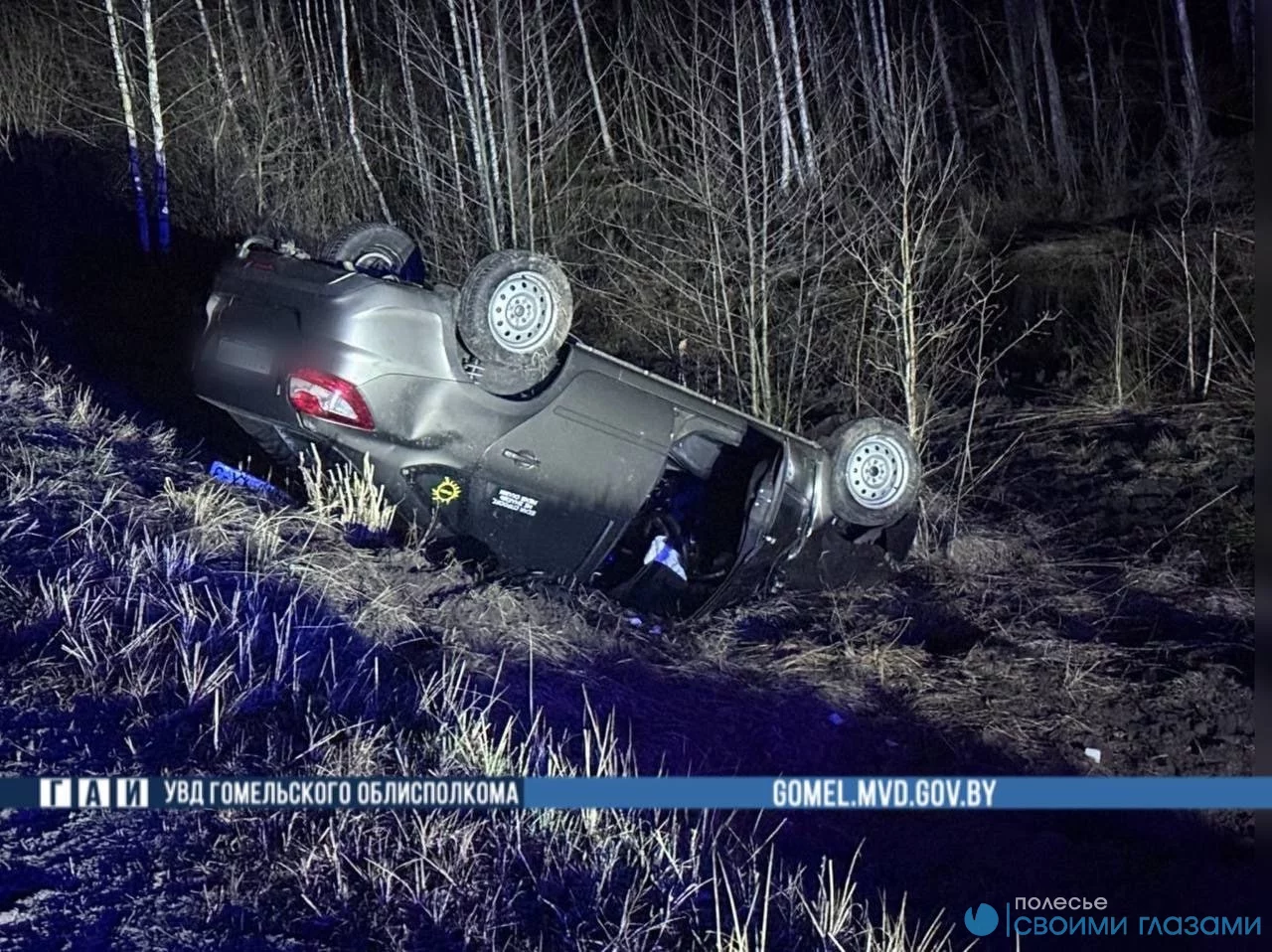 ДТП в Мозырском районе: наезд на дикое животное