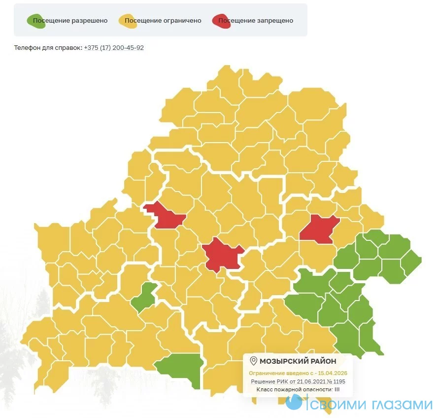 На Мозырщине ввели ограничение на посещение лесов