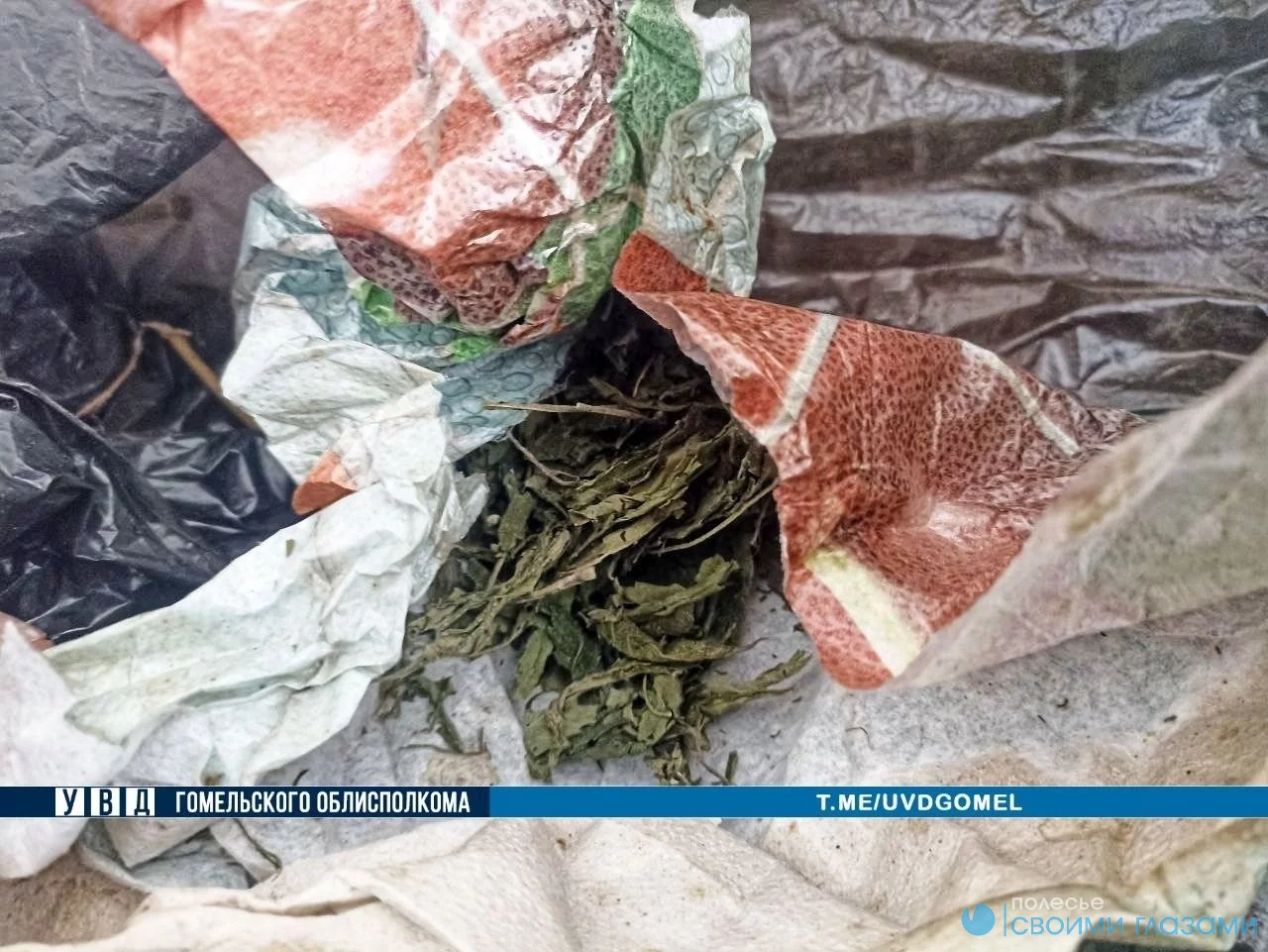 Мужчина хранил по месту жительства более 70 грамм марихуаны