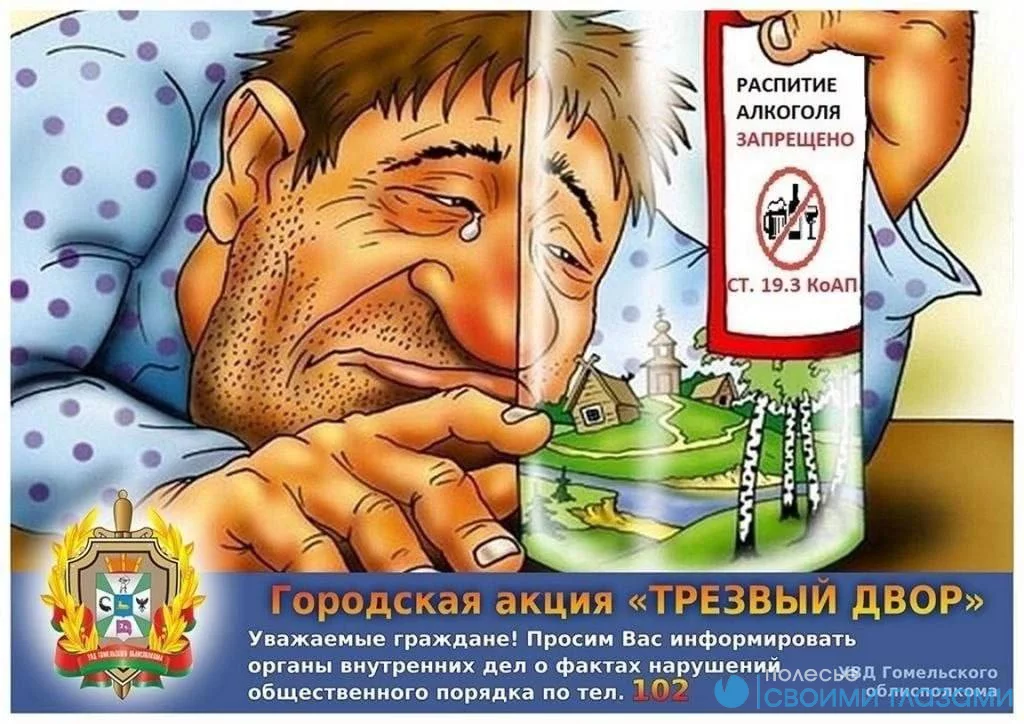 Сегодня в Мозыре пройдет профилактическая акция «Трезвый двор»