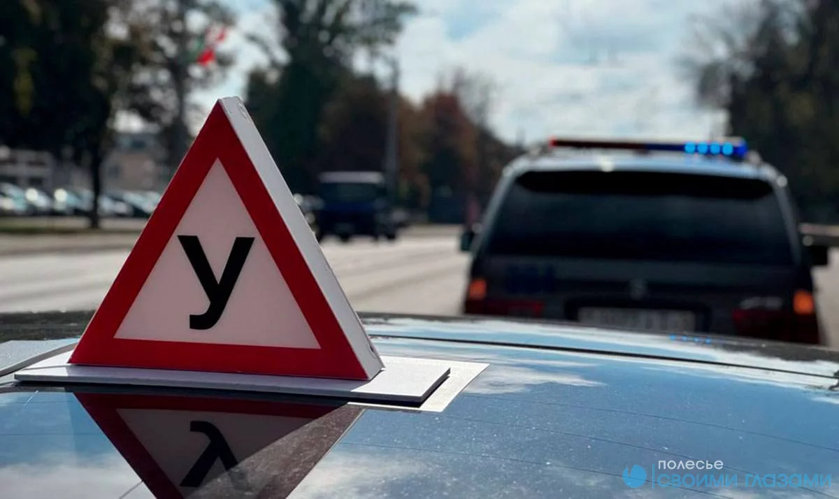 В центре внимание ГАИ – инструкторы автошкол и их курсанты