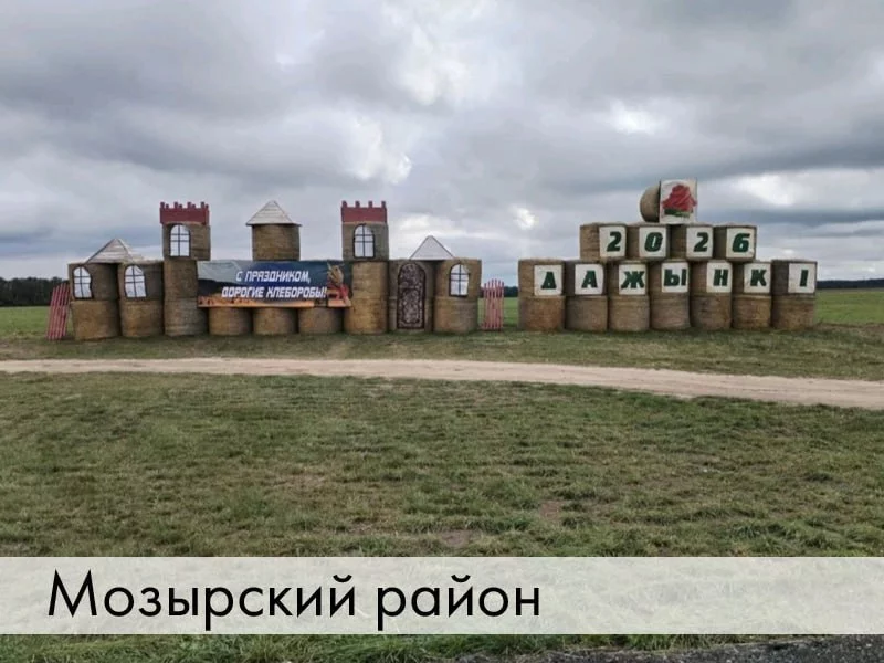 Голосуем за Мозырский район!